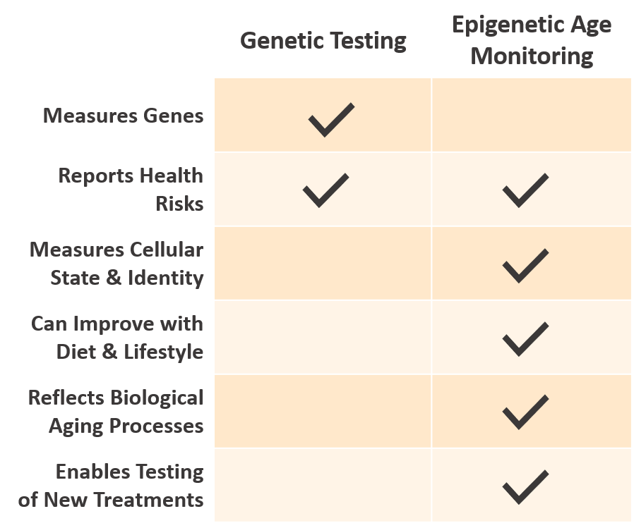 Comparison of genetic testing, which reports a fixed inherited sequence, against epigenetic testing, which reports modifiable methylation marks that change over time