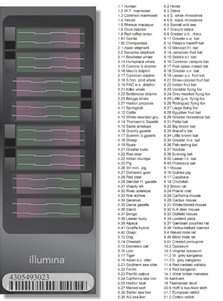 List of mammalian species profiled on the Horvath mammalian methylation array