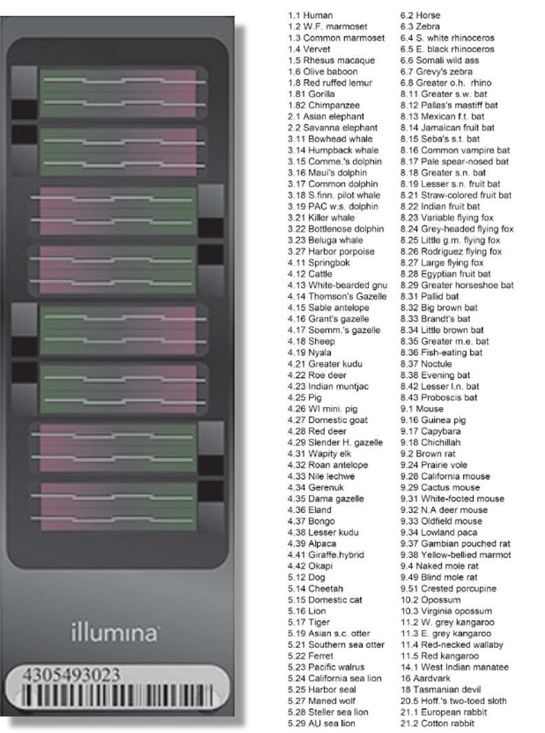 specieslist2-clock-foundation