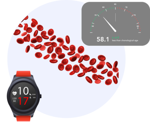 Longevity Biomarker Monthly Plan